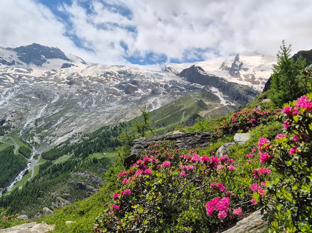 Olympia Saas Almagell主图