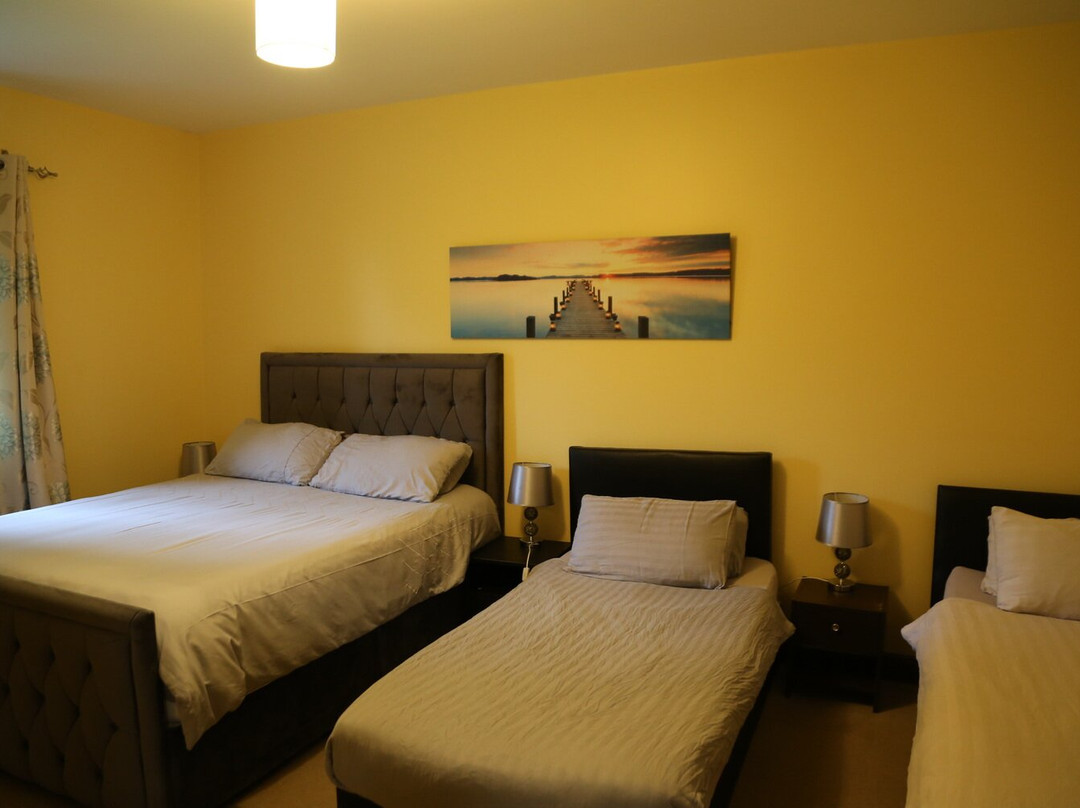 Moorepark West House主图