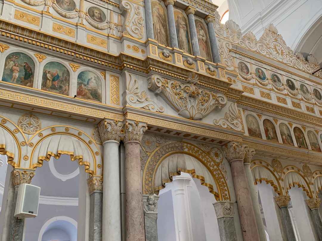 Explore Ephesus by Local Guides-库萨达斯必去景点