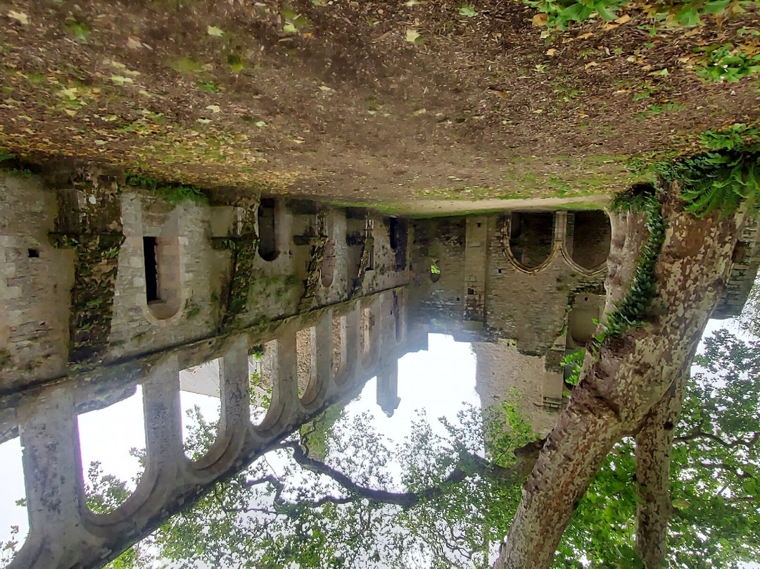 Abbaye de Beauport景点图片