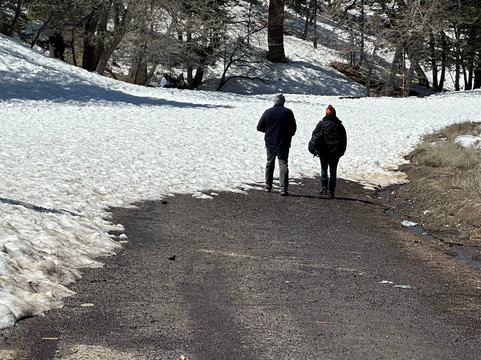 洛杉矶国家森林-阿卡迪亚必去景点