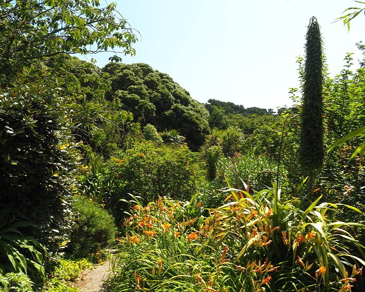 Carreg Dhu-St Mary's必去景点