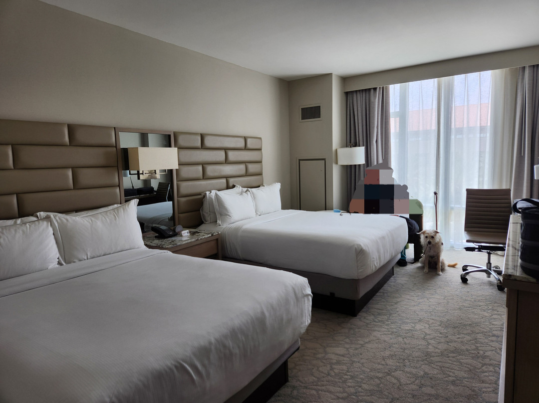 Hilton West Palm Beach主图