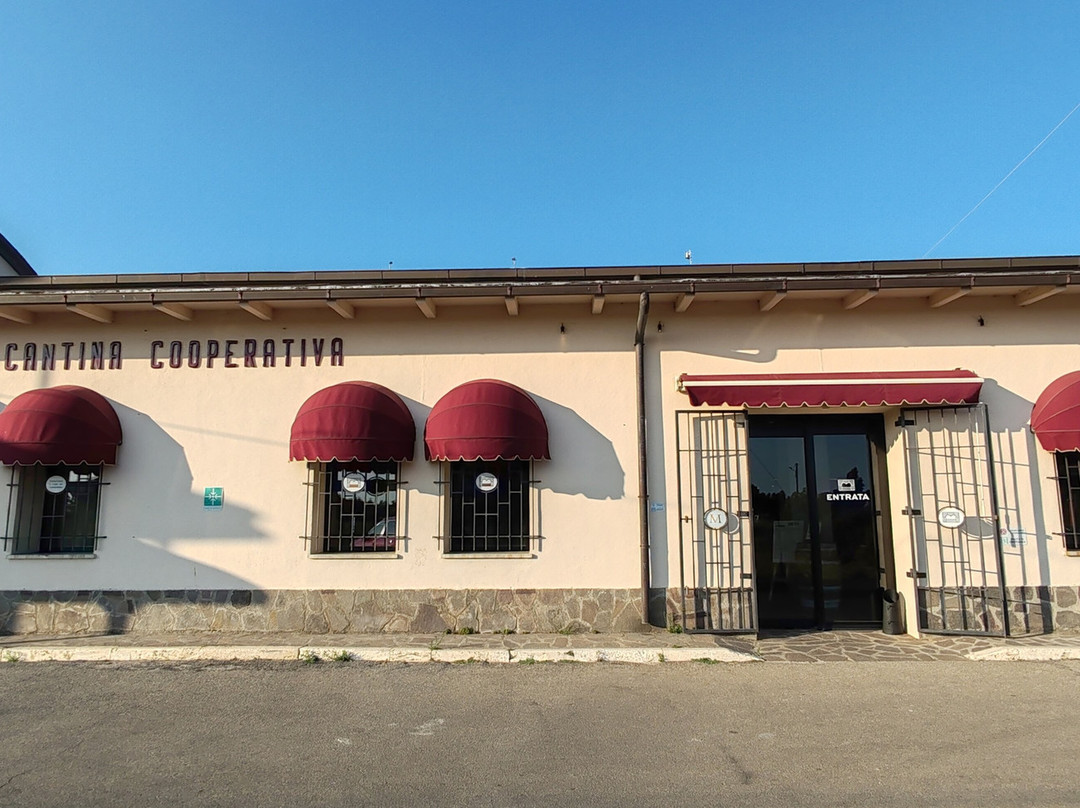 Cantina 'i Vini Di Maremma'景点图片