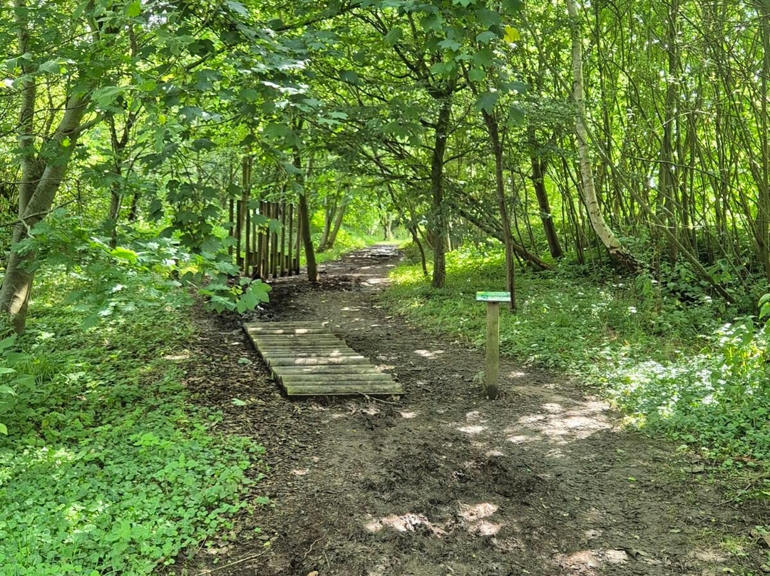 BARFUSSpark Schwackendorf-Hasselberg必去景点