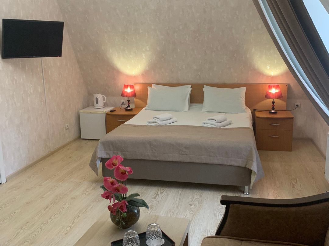 Lastochka Pension主图