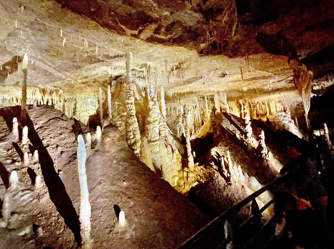 Grotte De Tourtoirac景点图片