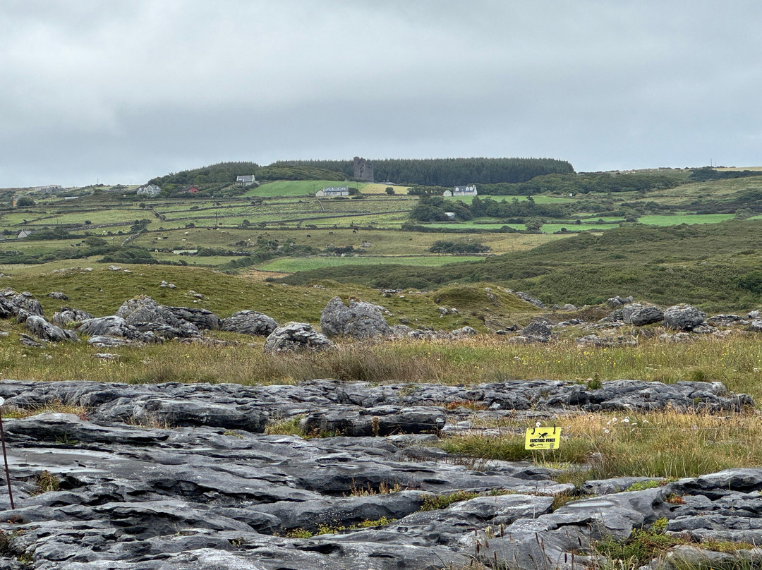 Sheedy's Hotel & Restaurant主图