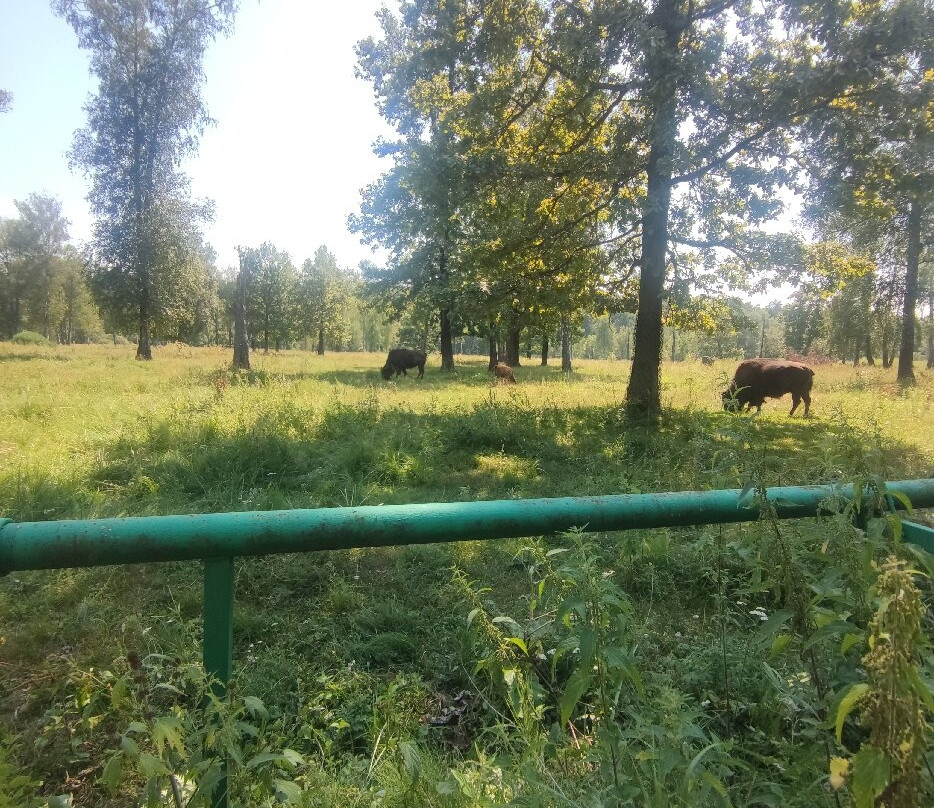 Prioksko-Terrasny Nature Reserve景点图片