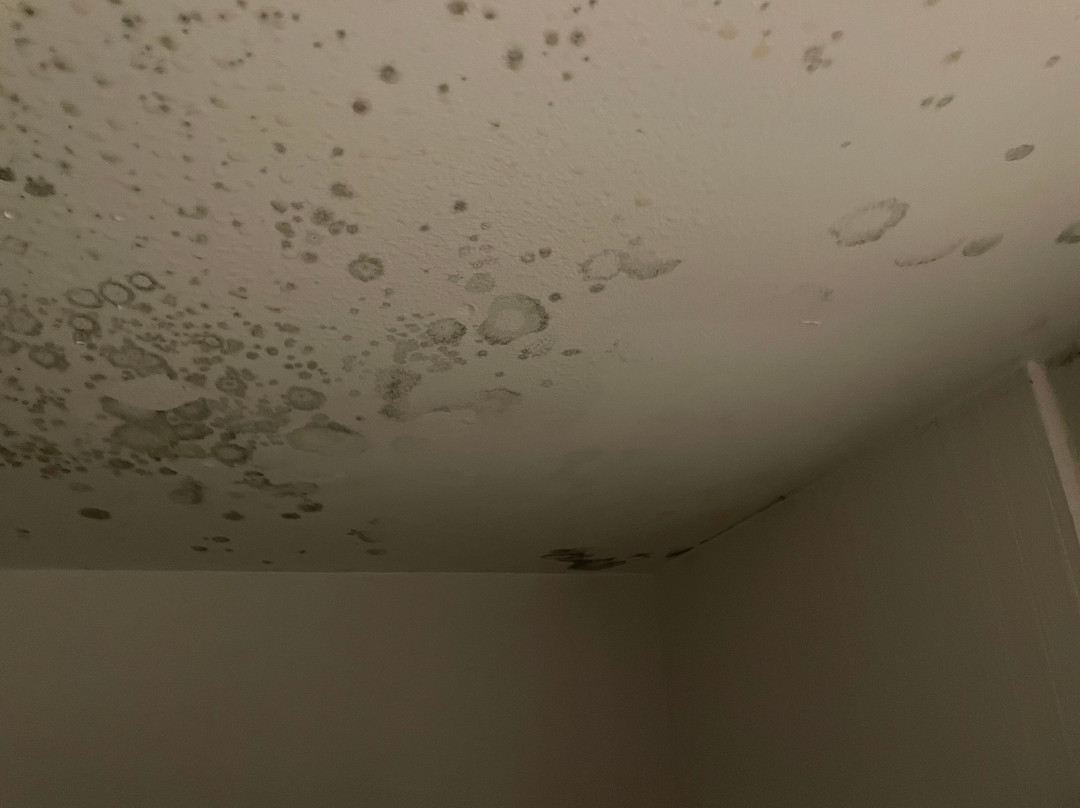 Courtyard by Marriott Monroe Airport主图