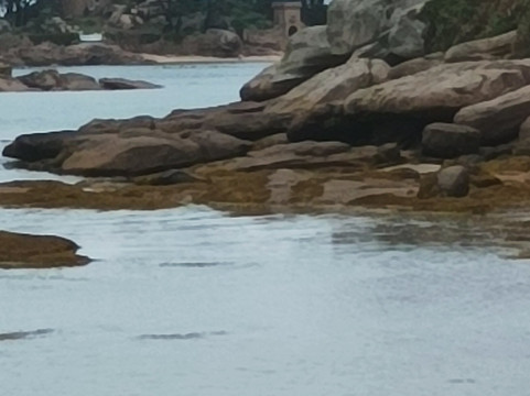 Île de Costaérès-Tregastel必去景点