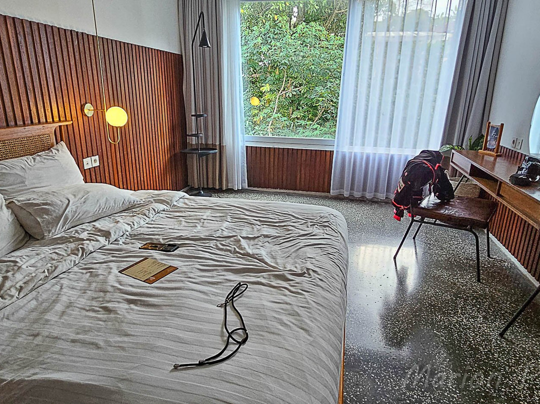 Blackbird Hotel主图