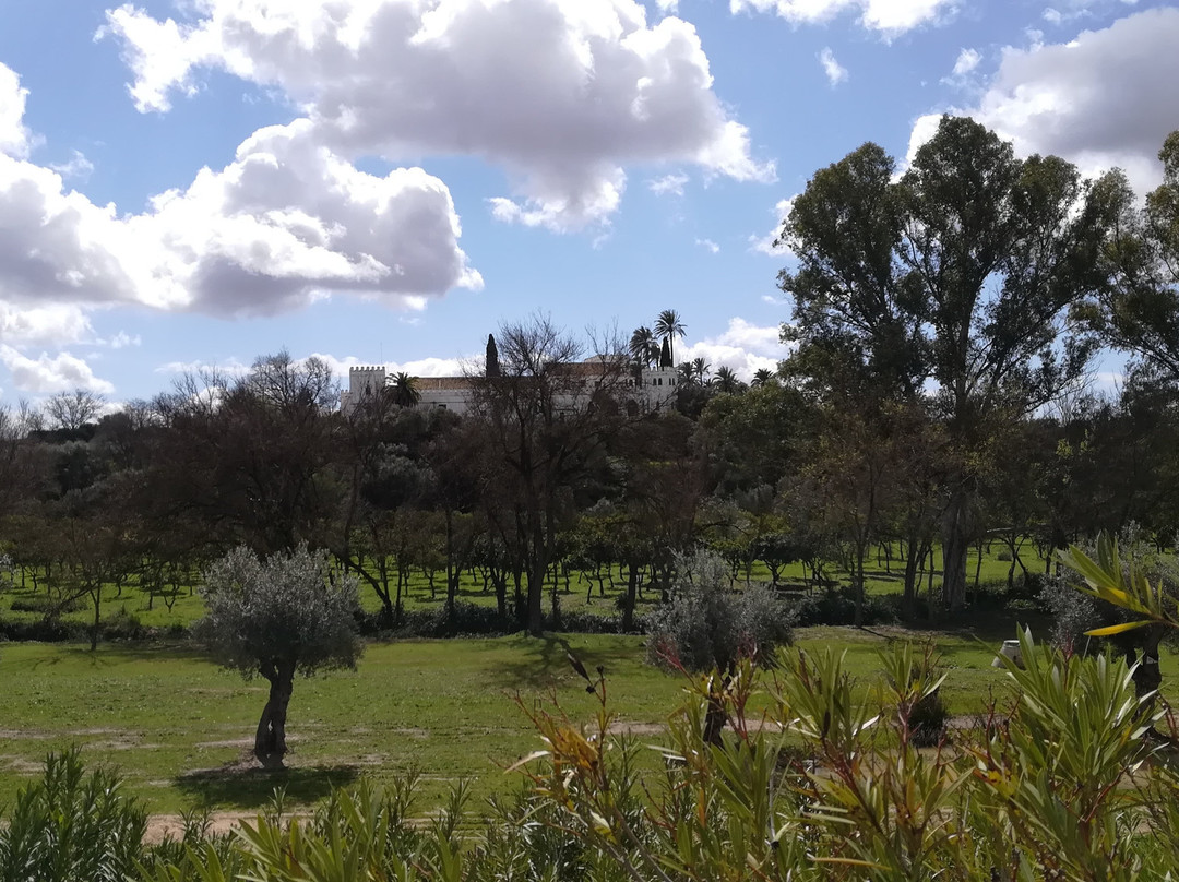Parque Forestal Dehesa Doña Maria-Dos Hermanas必去景点