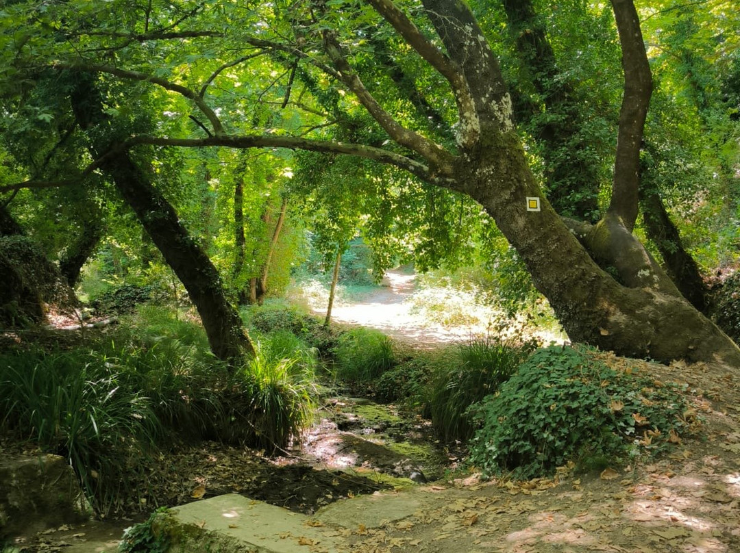 Rema Ton Mylwn-Evrostina必去景点