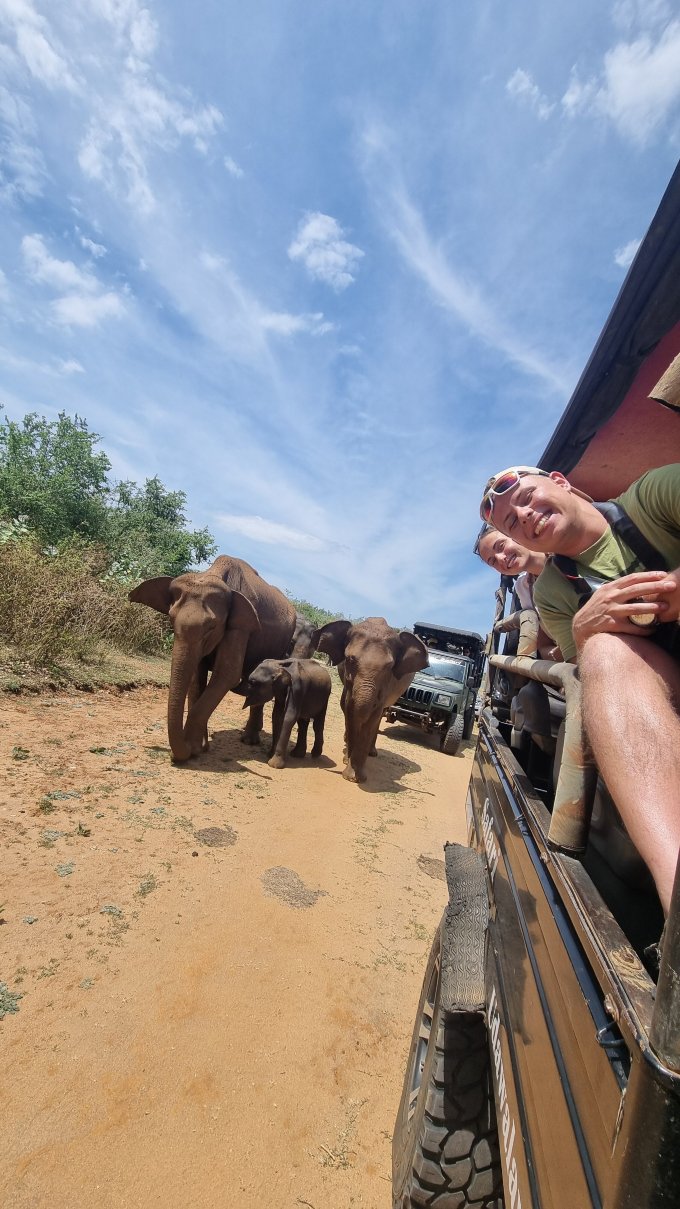Tusker's Paradise Safari Villa-官方