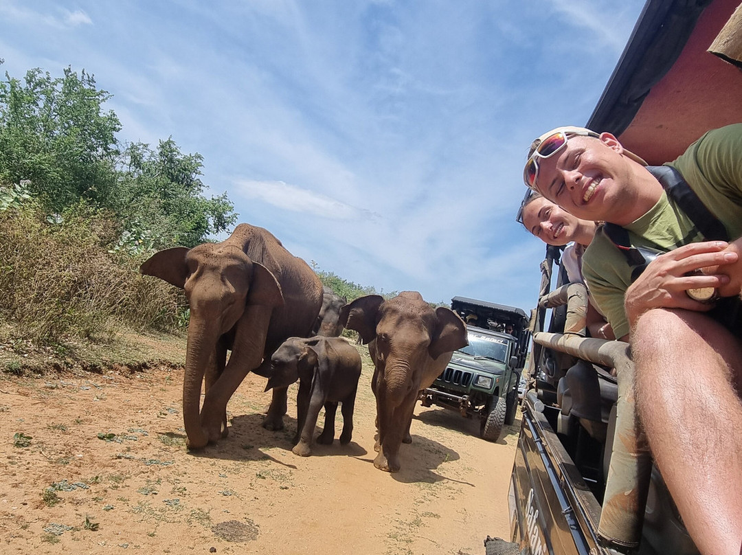 Tusker's Paradise Safari Villa