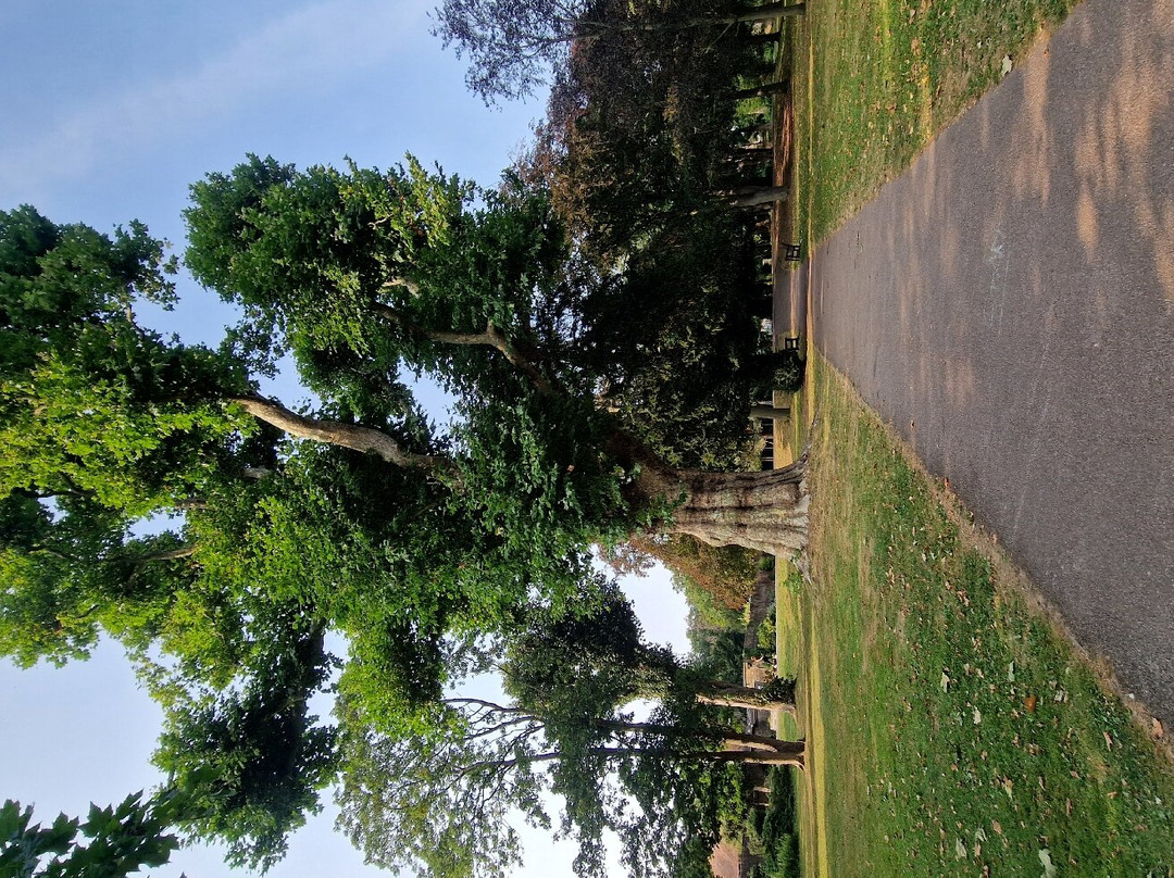 Cedars Park景点图片