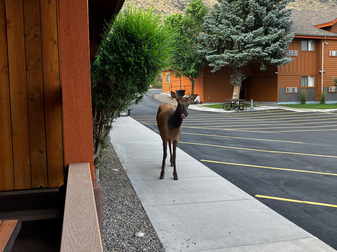 黄石村酒店主图