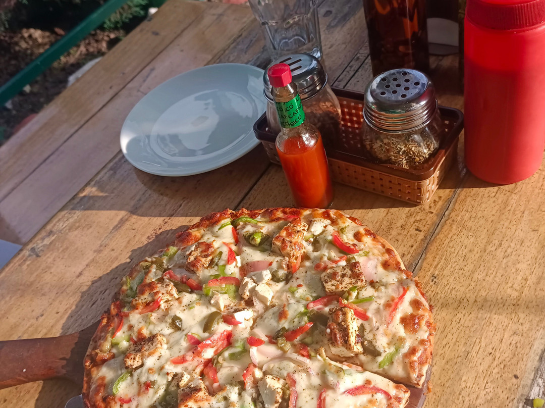 Himalayan Adrenaline-Palampur必去景点