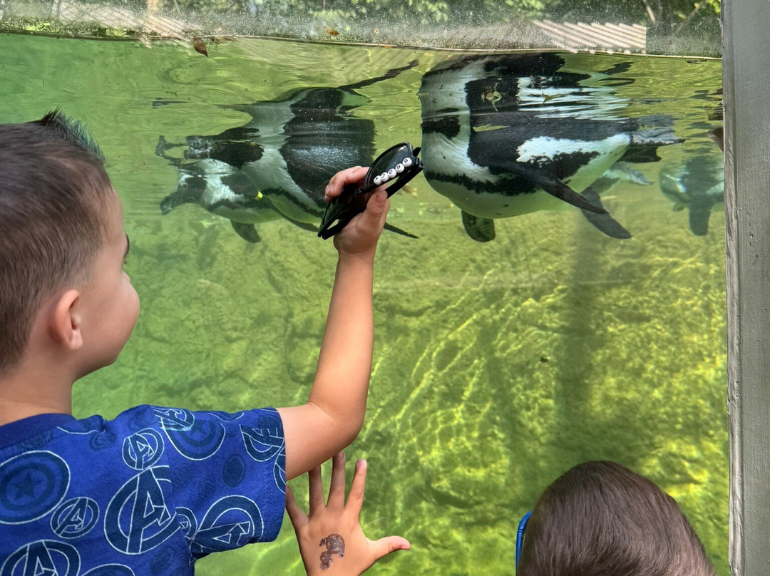 Erie Zoo-伊利必去景点