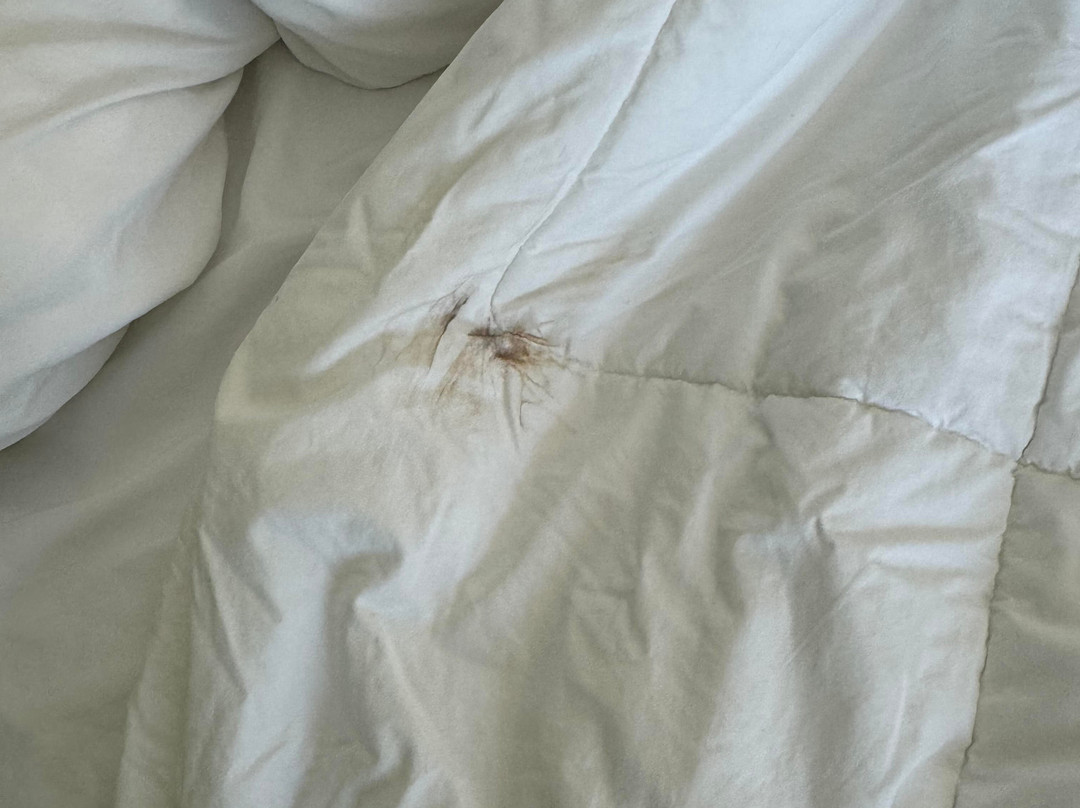 Quality Inn & Suites主图