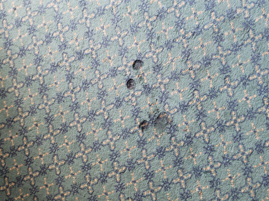 El Mouradi Skanes主图