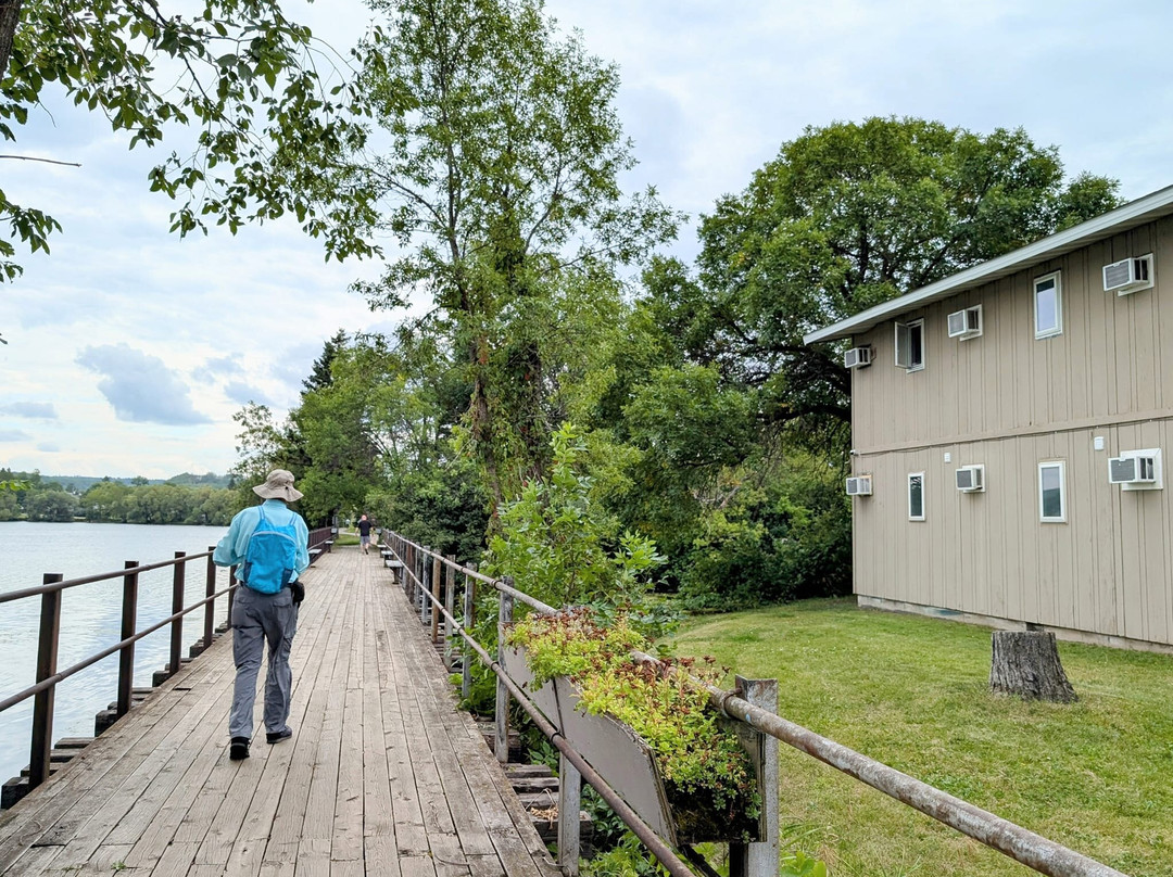 Lakeshore Motor Inn主图