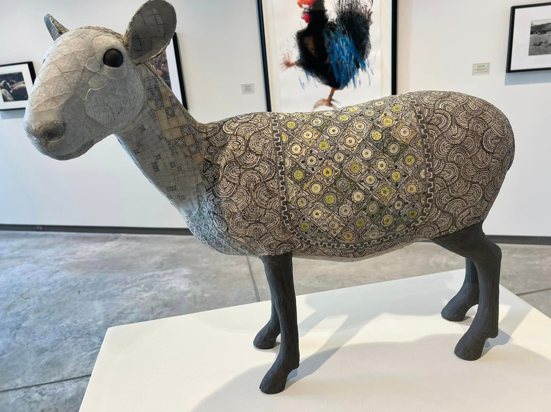 Daum Museum of Contemporary Art-锡代利亚必去景点