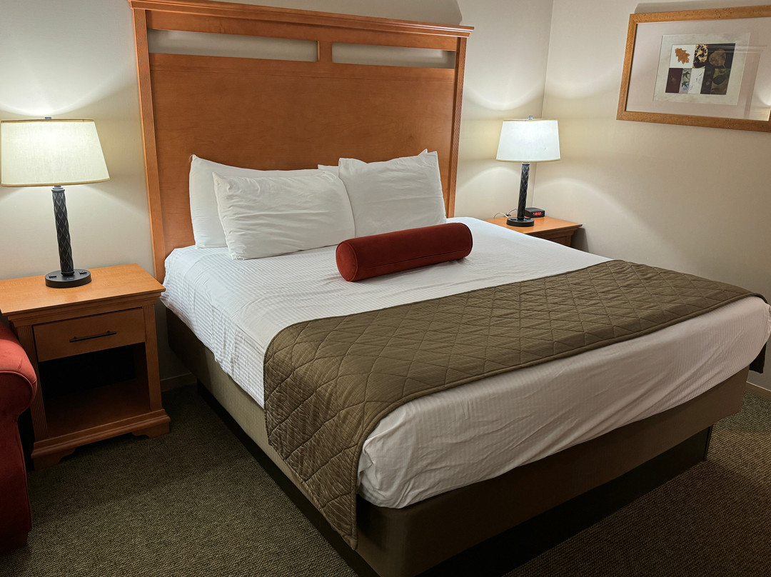 Best Western Rory & Ryan Inns主图