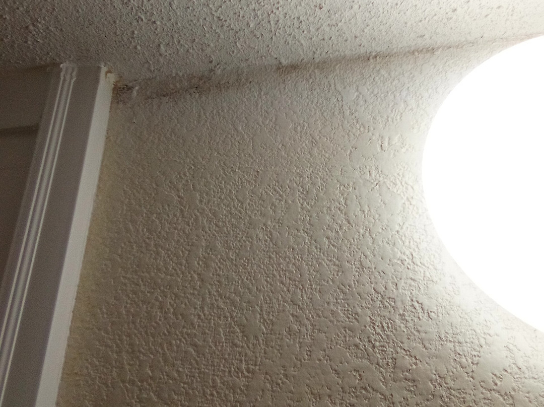 Days Inn by Wyndham Seneca / Clemson Area主图