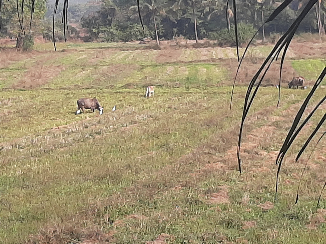 Mariners Bay Resort主图