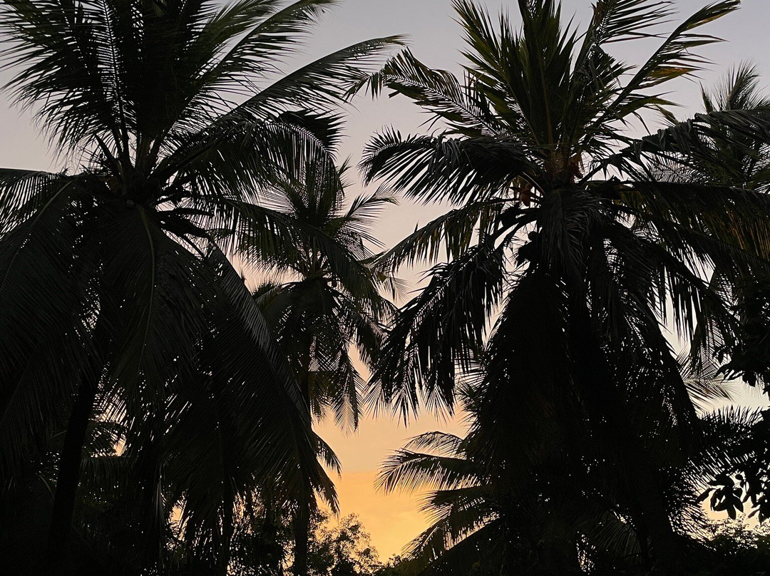 Wild View Resort主图