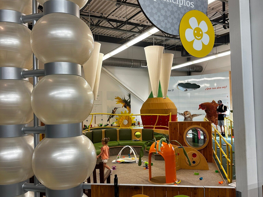 Thinkery-奥斯丁必去景点