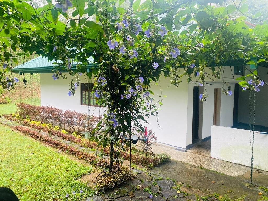 Tearamb Holiday Bungalow