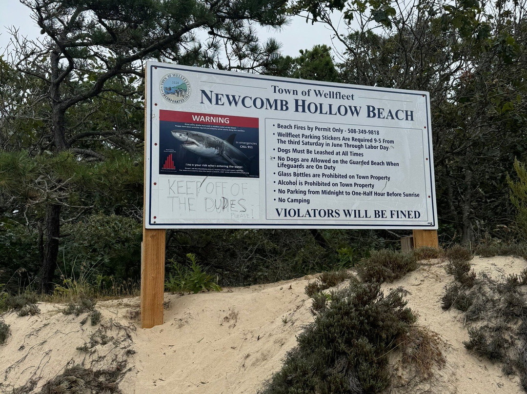 Newcomb Hollow Beach景点图片