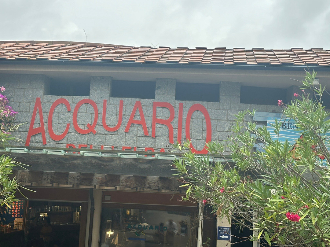 Acquario dell'Elba景点图片