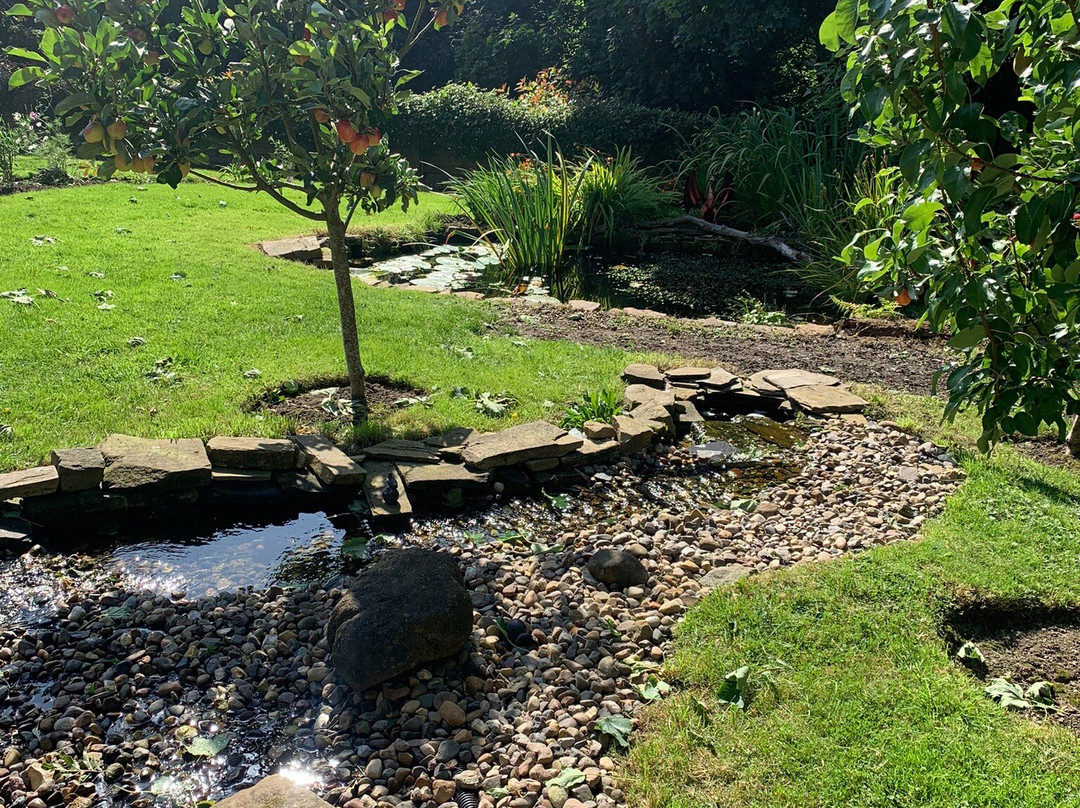 Kell House Bed and Breakfast主图