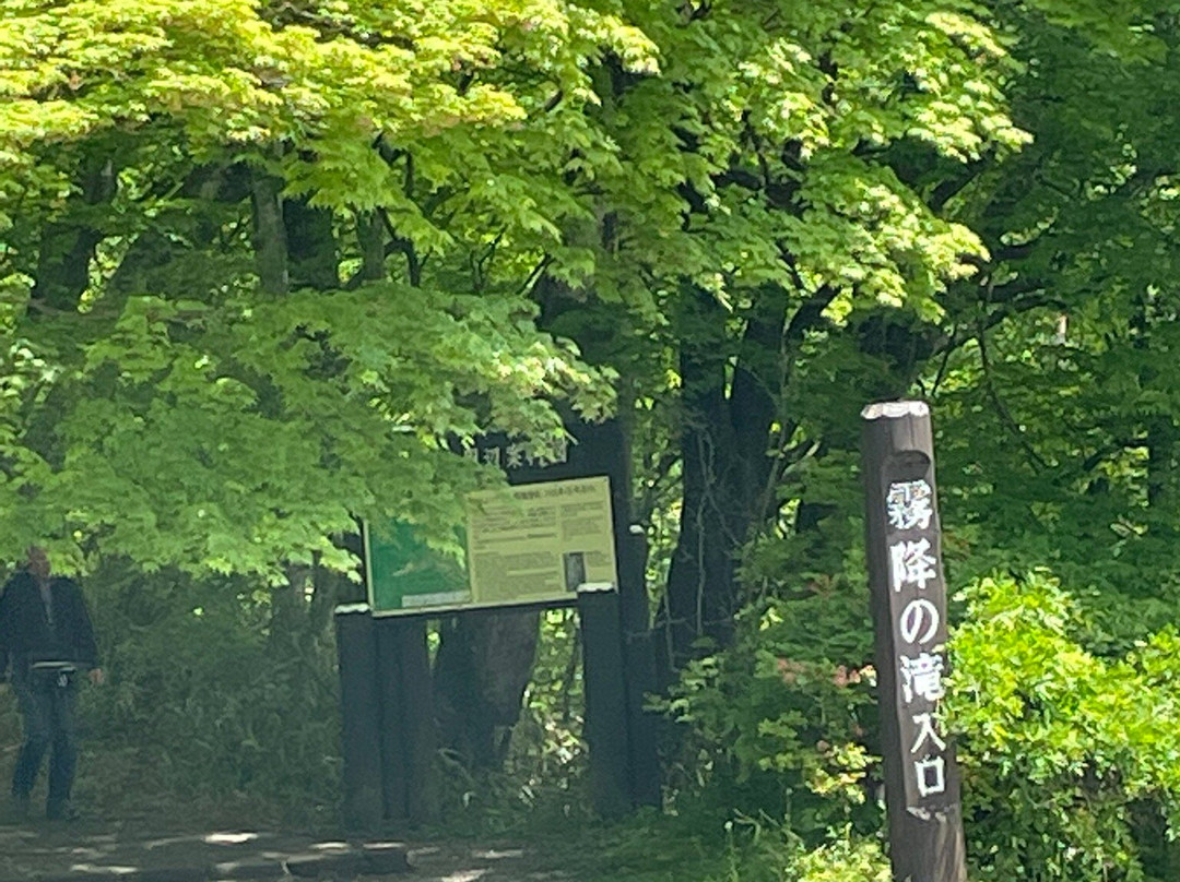 Kirifuri Waterfall-日光市必去景点