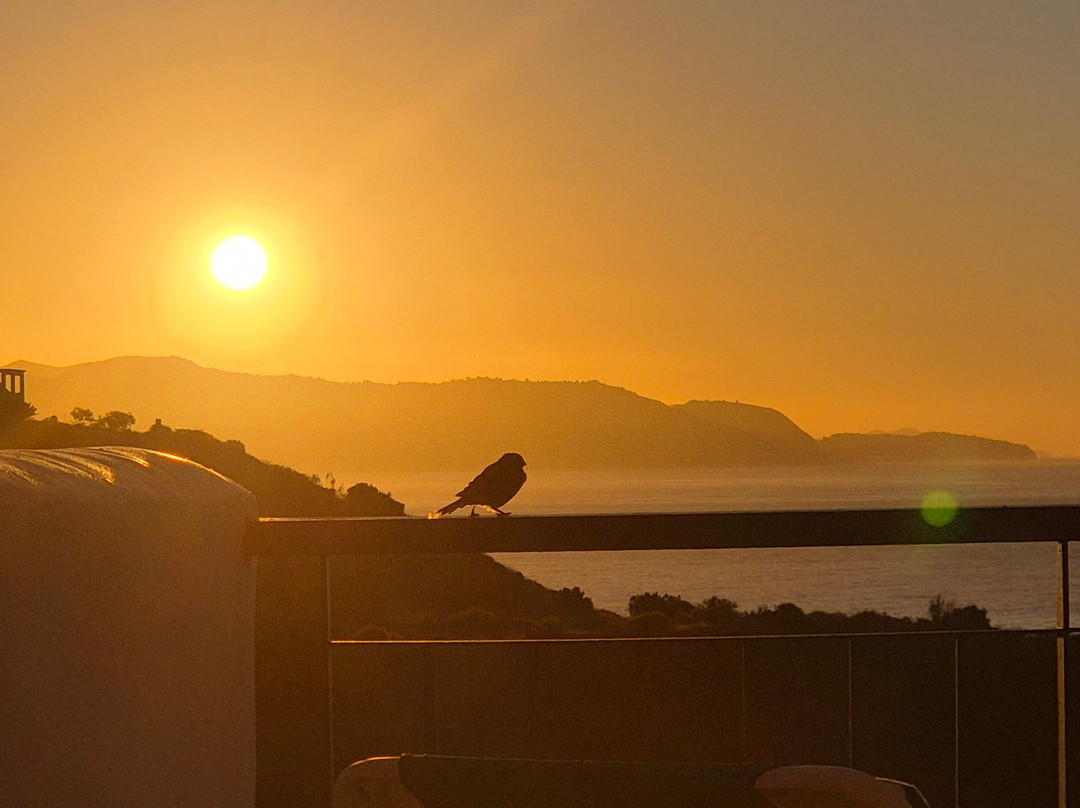 Olée Nerja Holiday Rentals主图
