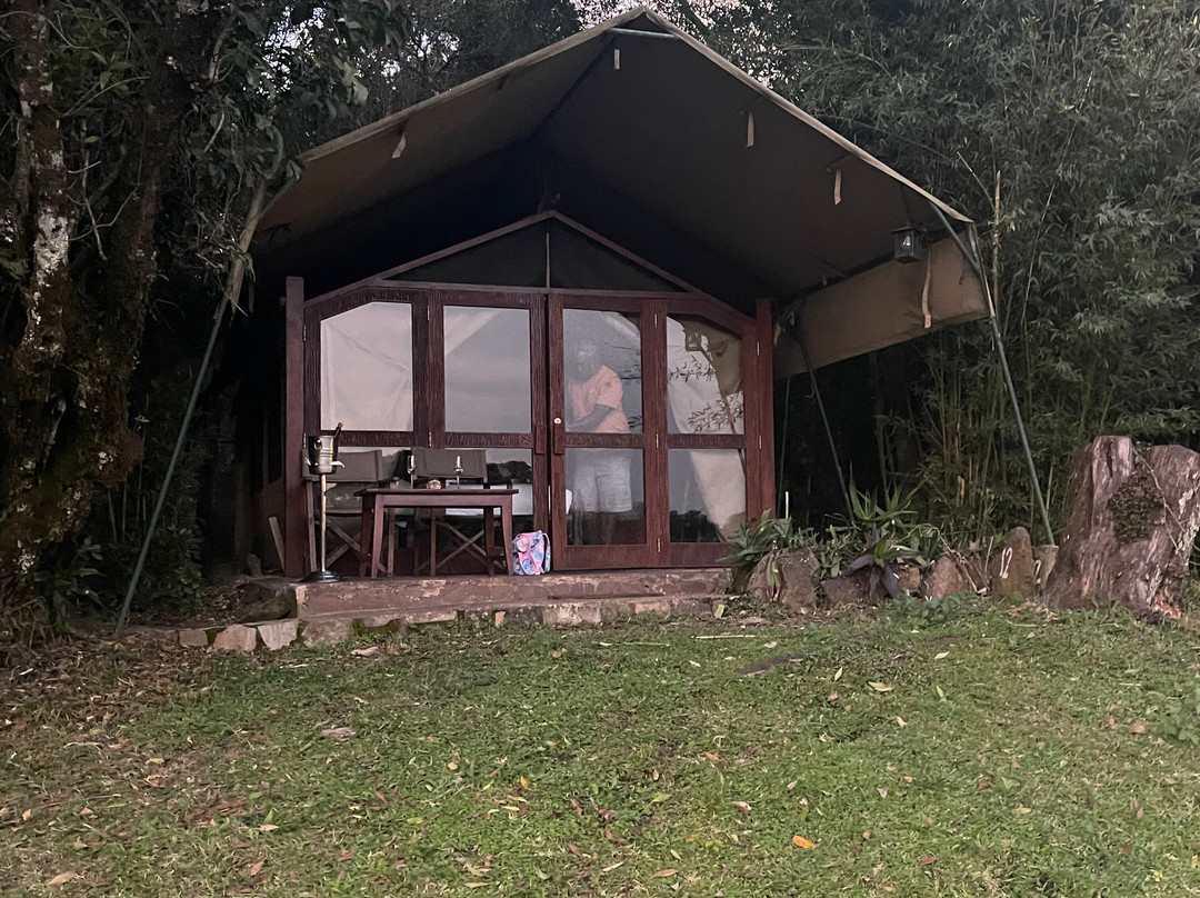 Mara River Camp主图