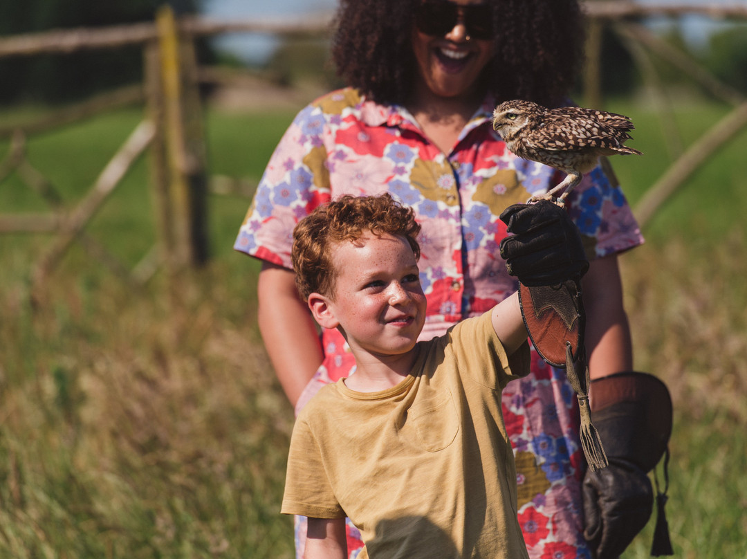 Kent Falconry Centre-Throwley必去景点