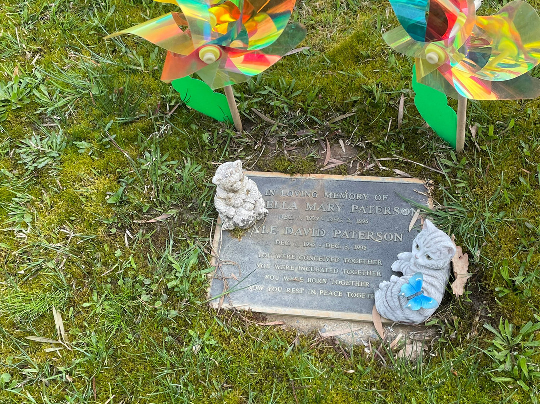 Healesville Cemetery-希尔斯维尔必去景点