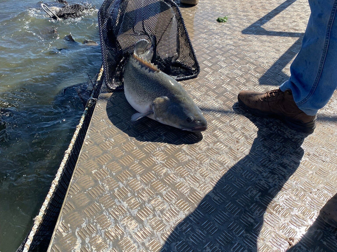 Bella Vita Riverina Tours-格里菲斯必去景点