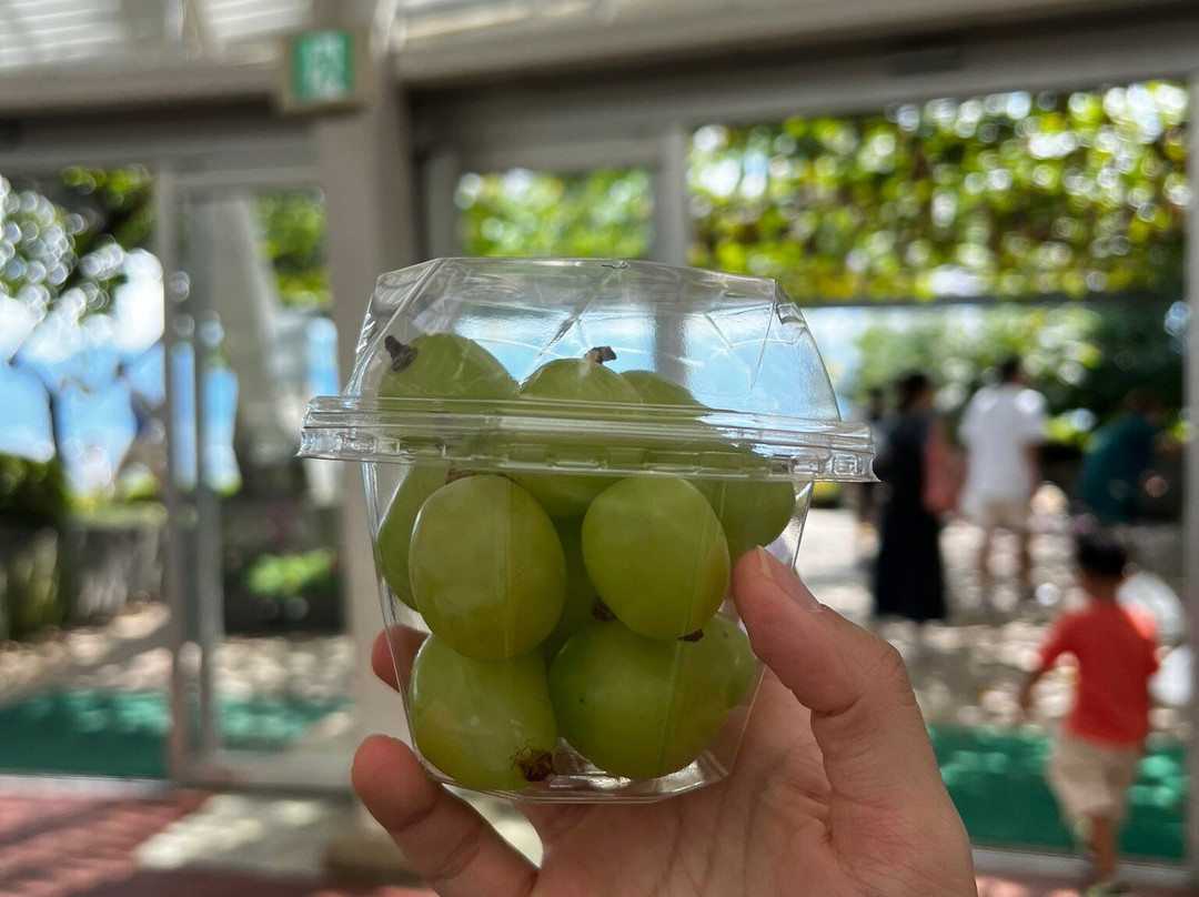 Yamanashi Fuehukigawa Fruit Park景点图片