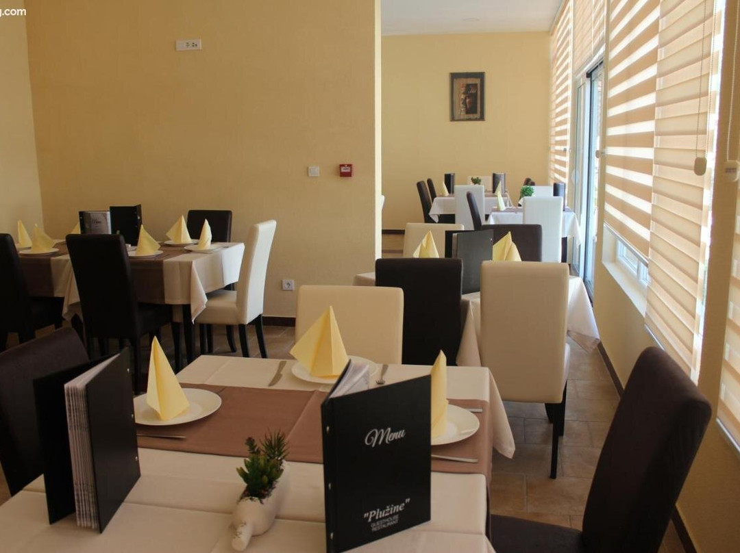 Guesthouse Gostionica Pluzine主图