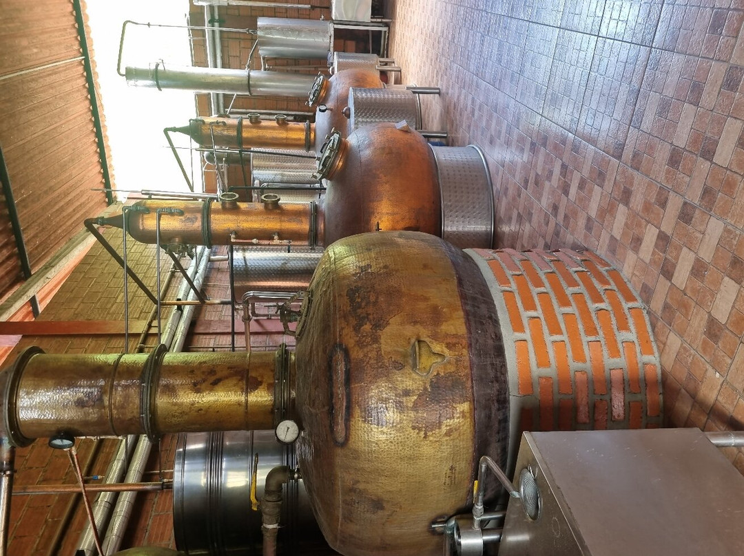 Engenho Triunfo-Areia必去景点