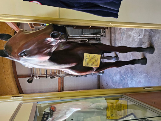 Historic Ambulance Museum-查特斯堡必去景点