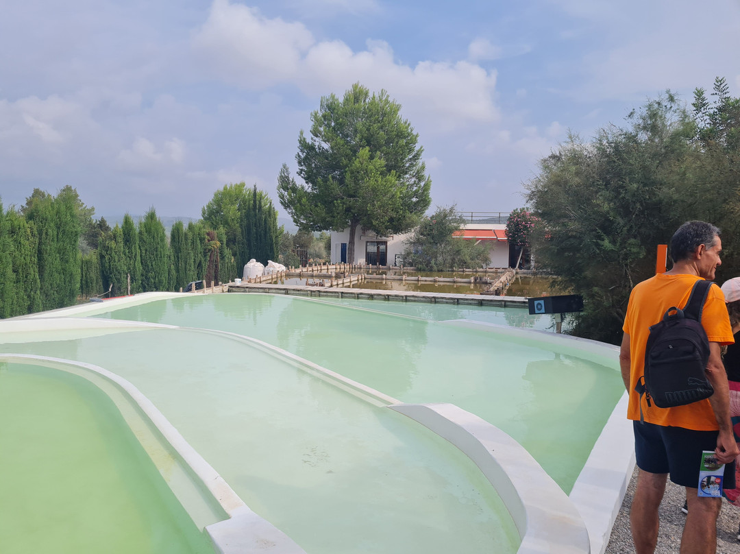 Ibiza Botánico Biotecnológico景点图片