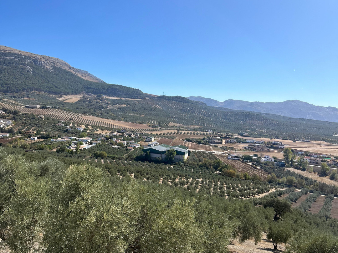 Trailworld景点图片