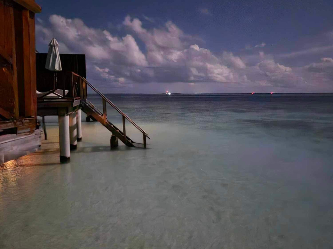 野生动物园岛度假村主图